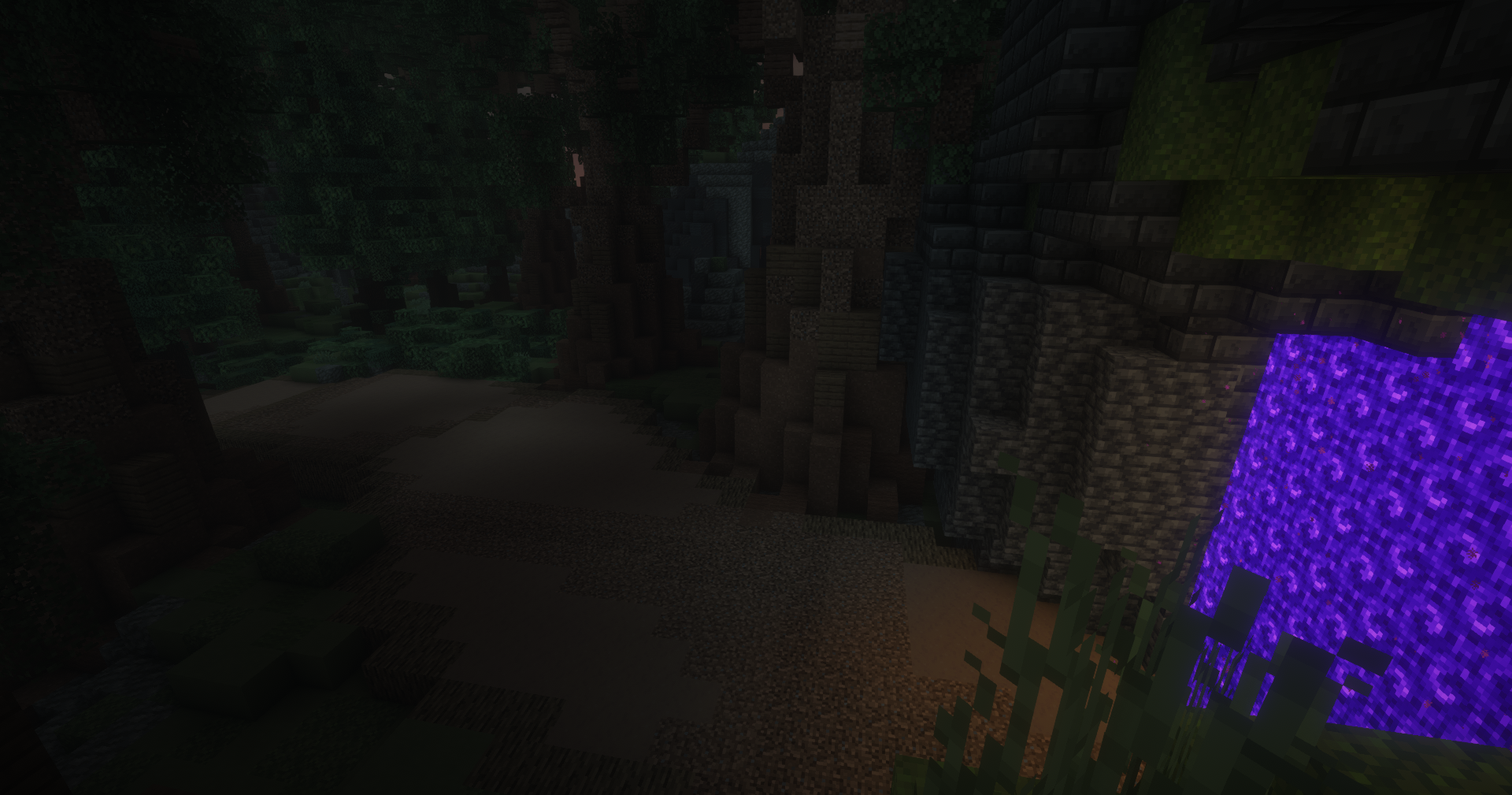 Forest Castle Dungeon Image 1